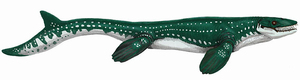 Mosasaurus & Mosasaurs