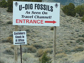 Trip Report: U-Dig Trilobite Quarry – March, 2014 For Sale