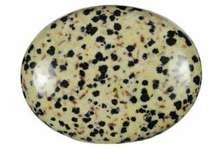 1.8" Polished Dalmatian Jasper Pocket Stone 