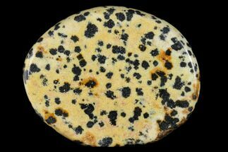 1.8" Polished Dalmatian Jasper Flat Pocket Stone 