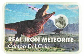 Campo del Cielo Iron Meteorite with Case - Argentina
