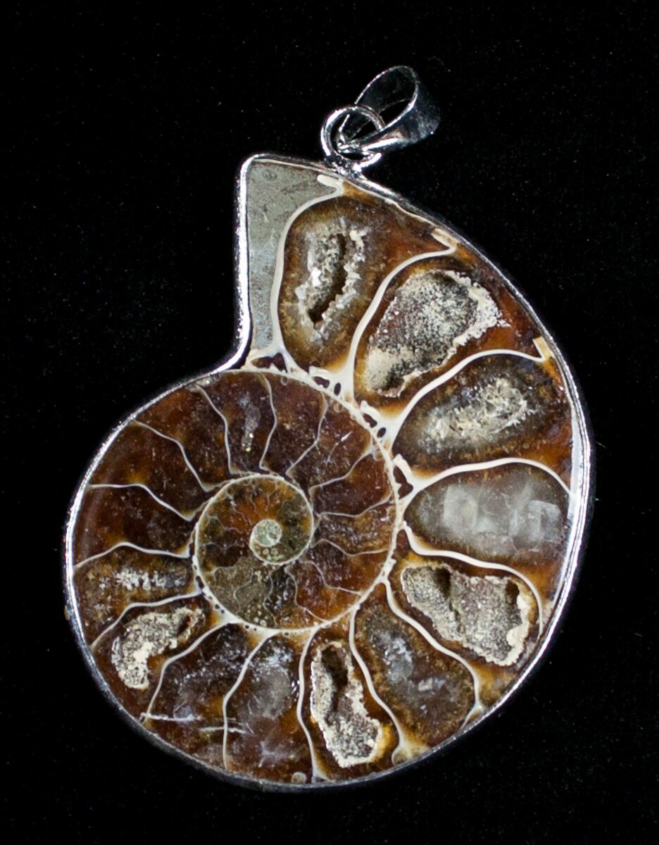 ammonite pendant