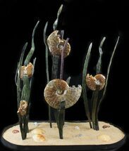 Large, Artistic Ammonite Display Sculpture - Real Fossils #31900