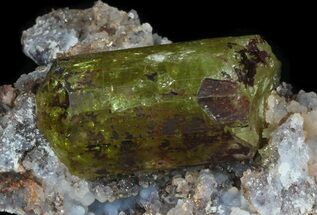 Apatite Crystal In Matrix - Durango, Mexico #33844