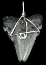 Fossil Angustiden Tooth Pendant - Megalodon Ancestor #36431