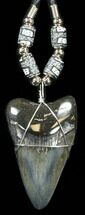 Serrated Polished Megalodon Tooth Necklace #38547