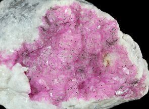 Cobaltoan Calcite Crystals on Calcite Matrix - Morocco #49234