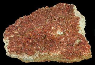 Plate, Sparkling, Ruby Red Vanadinite Crystals #59973