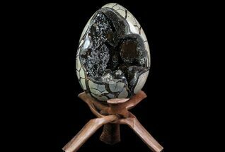 Huge, Septarian Dragon Egg Geode - Yellow Crystals #71834