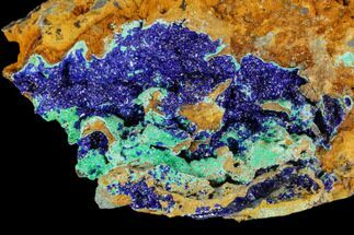 Malachite and Druzy Azurite Crystal Association - Utah #109837