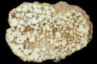 Buy Chrysoprase
