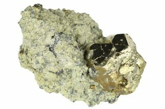 Pyrite Crystals in Matrix - Nærsnes, Norway #177277