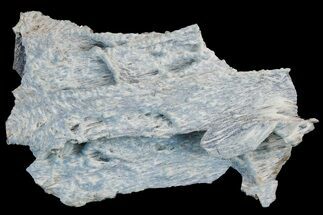 Blue and White Chalcedony Formation - India #178444