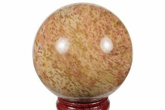 Polished Petrified Palmwood (Palmoxylon) Sphere #188876
