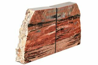 Tall, Arizona Petrified Wood Bookends - Red & Black #195140