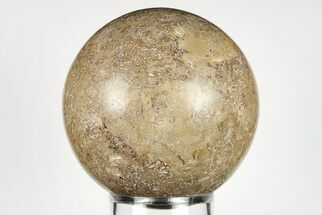 Polished Agatized Dinosaur (Gembone) Sphere - Morocco #198515