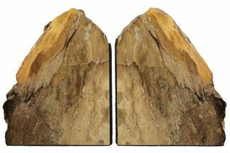 Petrified Wood Bookends - Oregon #202309