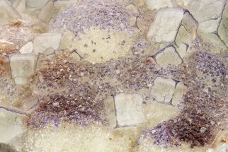 Purple Edge Fluorite Crystal Cluster - Qinglong Mine, China #205279