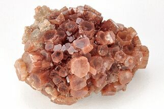 Twinned Aragonite Crystals (Star Aragonite) - Morocco #208698