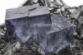 Purple Cubic Fluorite Crystals on Sphalerite - Elmwood Mine #208831