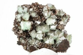 Cuprian Adamite Crystals on Matrix - Ojuela Mine, Mexico #211975