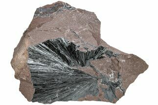 Metallic, Needle-Like Pyrolusite Crystals - Morocco #220645
