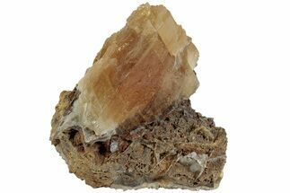 Golden-Yellow Calcite Crystal On Matrix - Morocco #223334