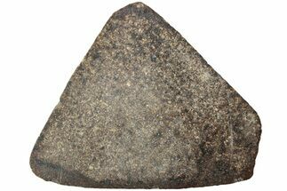 Polished Chondrite Meteorite Slice ( g) - Unclassified NWA #238022