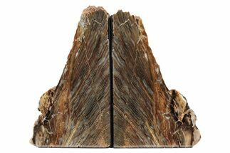 Polished Petrified Wood Bookends - Washington #240774