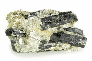 Black Tourmaline (Schorl) Crystals With Mica - Virginia #244866