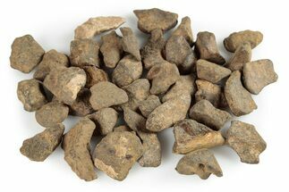 Agoudal Iron Meteorites (- grams) - Morocco #245871