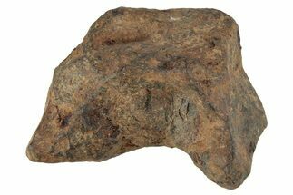 Agoudal Iron Meteorite ( g) - Morocco #245595