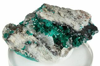 Sparkling Dioptase Crystals on Calcite - N'tola Mine, Congo #256951