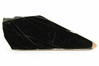 Polished Black Jade (Actinolite) Slab - Western Australia #256998