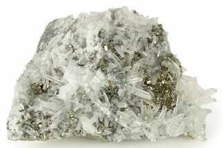 Gleaming Pyrite Crystals on Quartz - Peru #257281