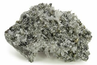 Chalcopyrite and Pyrite Crystals on Quartz - Peru #257294