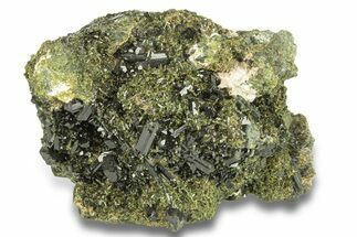 Lustrous, Epidote Crystal Cluster on Actinolite - Pakistan #257766