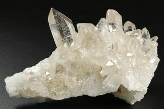 Glass-Clear Smoky Quartz Crystal Cluster - Brazil #258936