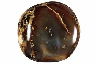 Deep Brown Polished Carnelian Agate Palm Stone - Madagascar #260542