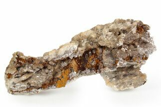 Calcite & Aragonite Stalactite Formation - Sparkly #261657
