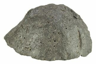 Chelyabinsk Meteorite ( g) - Witnessed Fall #263522