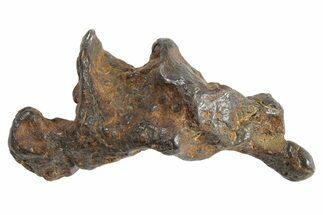 Sericho Pallasite Meteorite ( g) Metal Skeleton #266970
