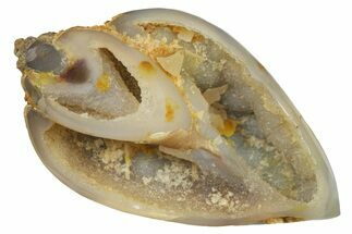 Chalcedony Replaced Gastropod With Sparkly Quartz - India #269812