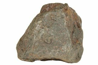 Canyon Diablo Iron Meteorite ( g) - Arizona #270671