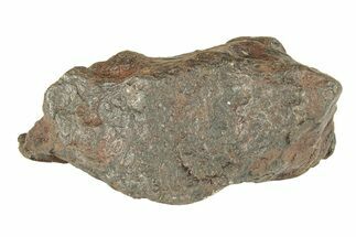 Canyon Diablo Iron Meteorite ( g) - Arizona #270685