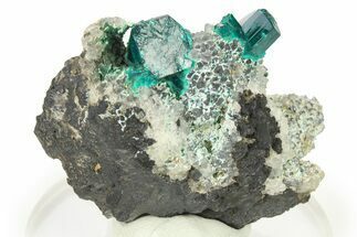 Lustrous Dioptase Crystals on Quartz - Republic of the Congo #272937
