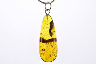 Polished Baltic Amber Pendant (Necklace) - Contains Flies & Flora! #273253