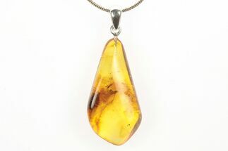 Polished Baltic Amber Pendant (Necklace) - Contains Beetle & Mite #273398