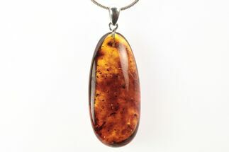 Polished Baltic Amber Pendant (Necklace) - Contains Beetle & Ant #273402
