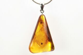 Polished Baltic Amber Pendant (Necklace) - Contains Fly & Ant #273453